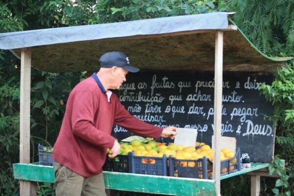 Sildo é caseiro e aproveita os alimentos que seriam descartados - Foto: Ronaldo Bernardi / Agencia RBS
