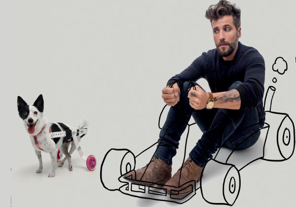 Bruno Gagliasso ajudando na campanha - Fotos: Rafael Mantesso