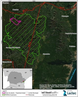 Indígenas ajudam a restaurar floresta do parque nacional no PR