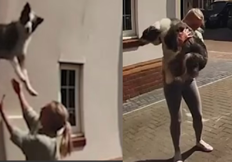 Rachel teve reflexo de ninja e agarrou Florence no ar, após cair do prédio de 6 metros de altura - Fotos: reprodução / Twitter