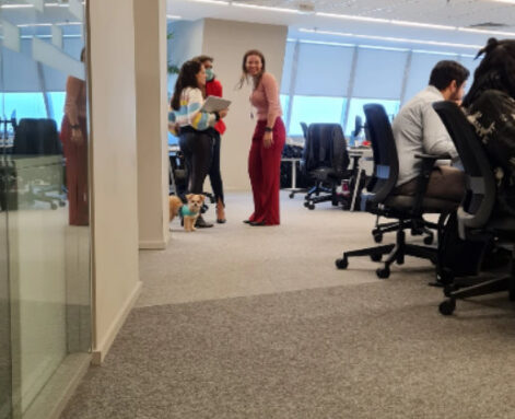 Funcionários com um pet no escritório da Nestlé em São Paulo Foto: Exame