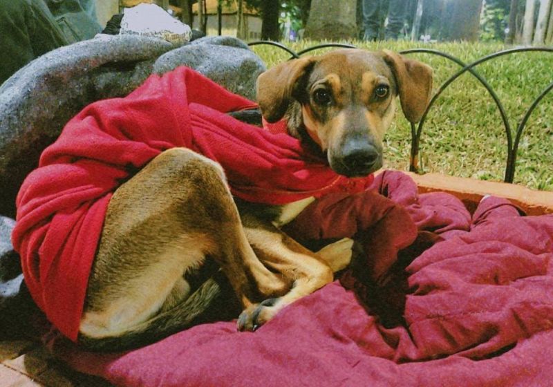 Uma nova massa de ar frio que vem do litoral deve derrubar as temperaturas em SP neste FDS - Foto: Anjos da Madrugada