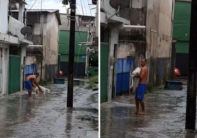 Há dois anos, o cão paraplégico foi diagnosticado com a doença do carrapato e sofreu um AVC - Fotos: reprodução/vídeo