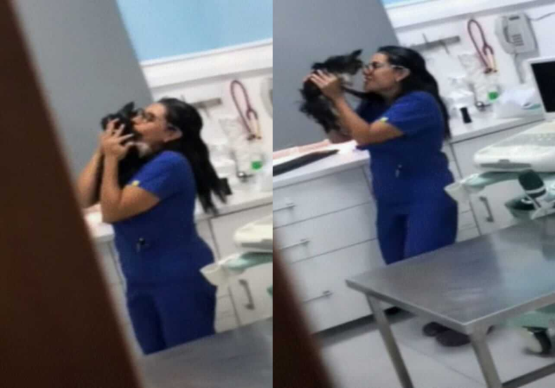 A veterinária é flagrada dançando com cãozinho durante o atendimento - Foto: reprodução