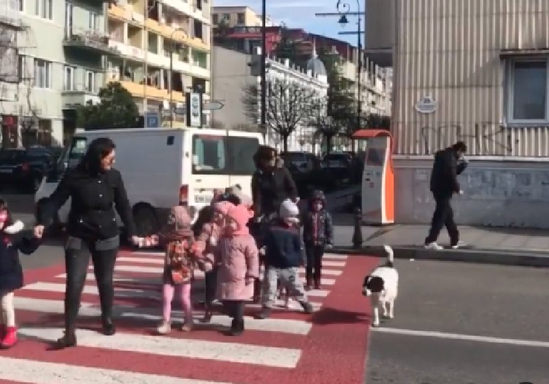 O Kupata late para os carros que invadem a faixa de pedestres enquanto as crianças atravessam - Foto: reprodução / Instagram