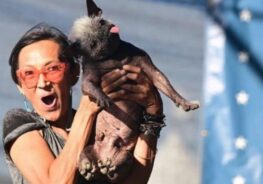 Tutora e Happy Face comemoram o primeiro lugar. Foto: Josh Edelson/AFP 