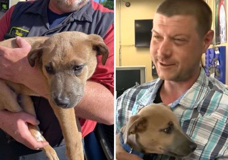 A comunidade toda abraçou a missão de cuidar do novo amiguinho. Fotos: reprodução/vídeo