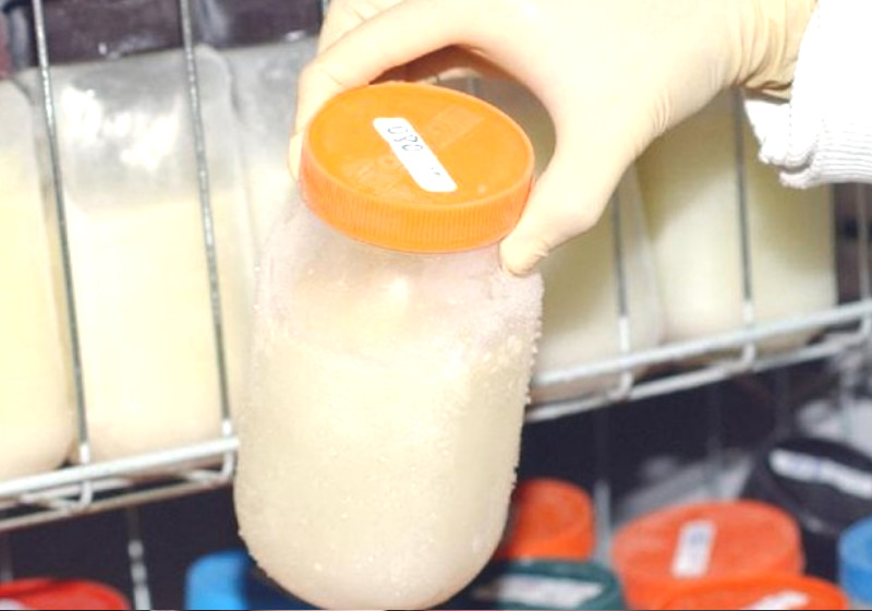 . O vírus foi eliminado graças à ingestão, durante uma semana, do leite de doadora imunizada. Foto: Agência Brasil