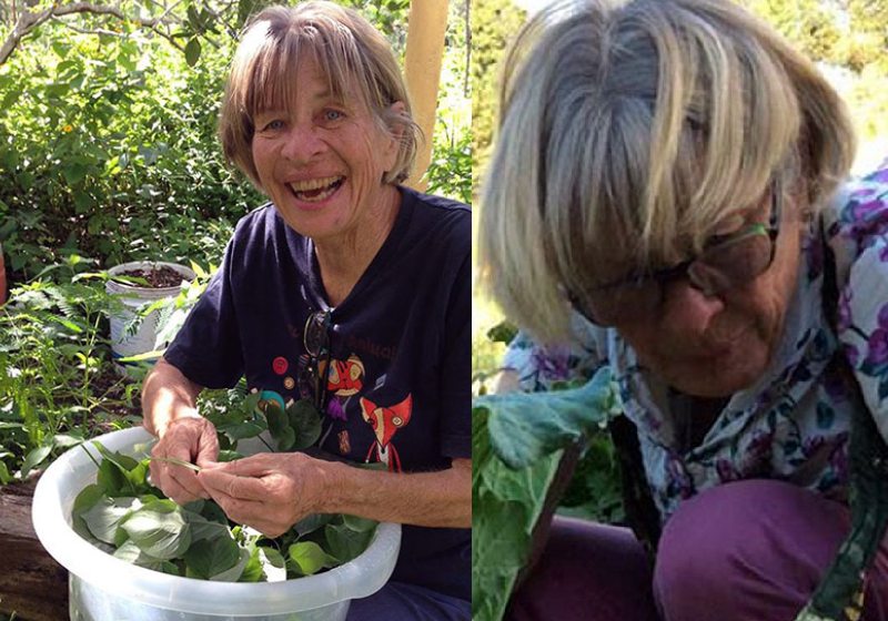 A norte-americana Marsha Hanzi vive em Tucano, e tem 76 anos - Fotos: reprodução / Marsha.com.br