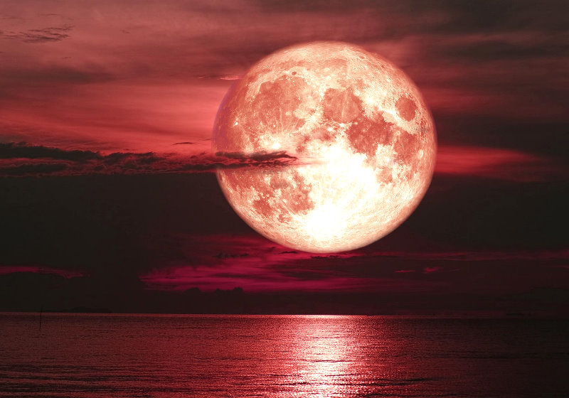 O fenômeno ocorreu pela última vez em maio de 2021 e será visto com a lua 14 por cento maior que o tamanho normal nesta terça-feira, 14 de junho Foto: ScifiTechDaily