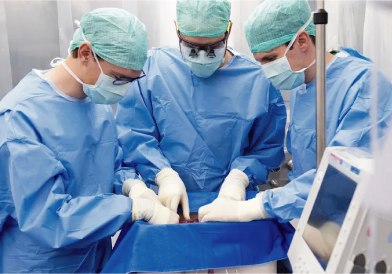 Uma técnica promissora permitiu a conservação de um fígado por 3 dias, antes de ele ser transplantado - Foto: Nico Wick/USZ