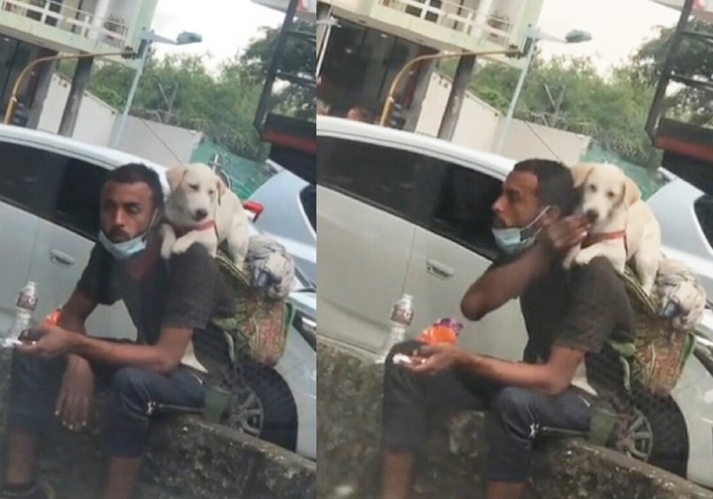O vendedor ambulante comendo e depois dando um pedaço para o cãozinho - Fotos: reprodução / Titktok