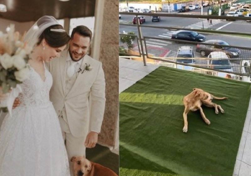 Tamiris e Douglas adotaram o doguinho e Caramelo que apareceu na porta da igreja no dia do casamento — Foto: Reprodução/TV Gazeta