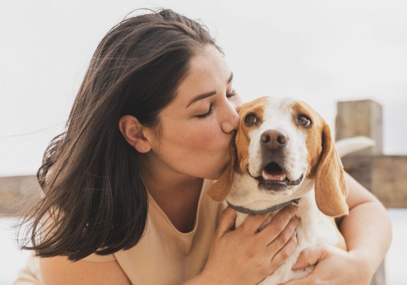 Esse benefício trabalhista ainda é pouco comum aqui, mas já tem proporcionado muita qualidade de vida para o colaborador e seu pet. Foto: Divulgação