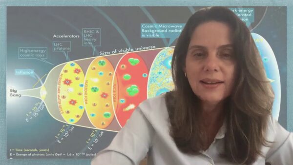 Professora da PUC-Rio, ela pesquisa sobre micro partículas há mais de 30 anos - Foto: reprodução