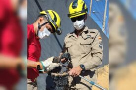 Foto: Corpo de Bombeiros