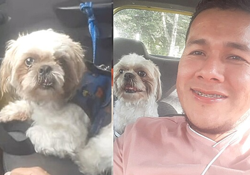 O motorista de taxi Dagobertno adotou o cão e o batizou de Toby Taxi Driver - Foto: arquivo pessoal