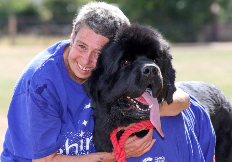 Segundo a tutora, o cão conseguiu farejar o câncer. Diagnóstico veio dias depois - Foto: arquivo pessoal