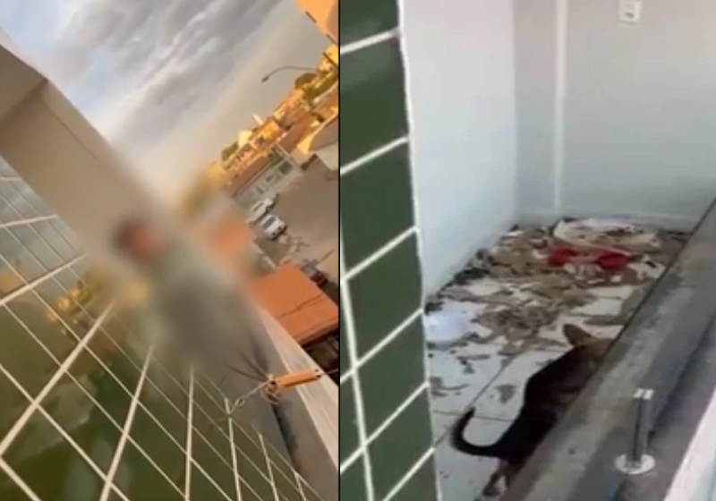 A criança vivia em situação de abandono e foi levada por PMs e pelo Conselho Tutelar - Foto: reprodução