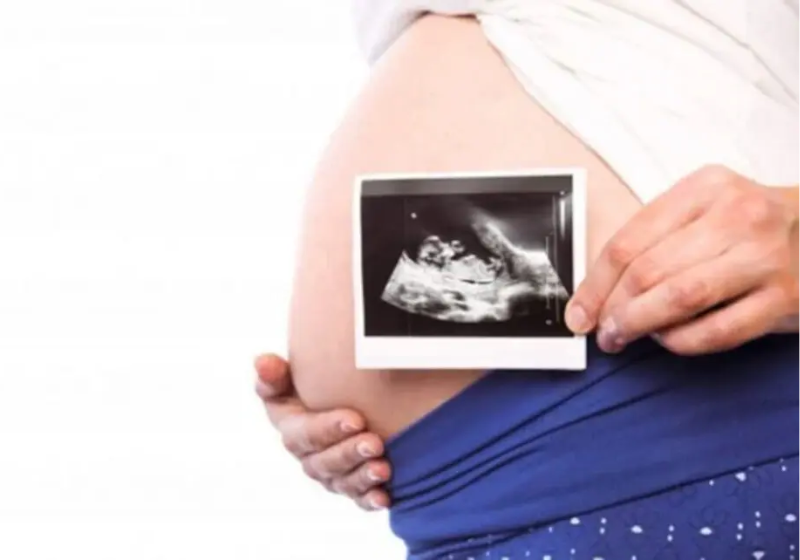 As grávidas poderão acessar o aplicativo e acompanhar o crescimento do bebê - Foto: Pixabay
