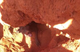 O sorriso de gratidão da mãezinha, linda! Foto: Corpo de Bombeiros