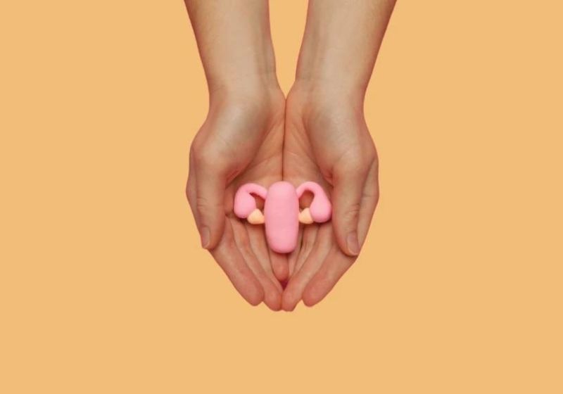 Pela legislação em vigor mulheres precisam do aval do marido para fazerem a laqueadura - Foto: Divulgação