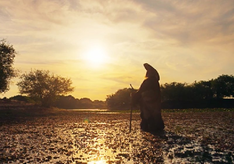 O Véio do Rio, interpretado por Osmar Prado, implora que o bicho-homem pare de envenenar as águas do Pantanal - Foto: reprodução / TV Globo
