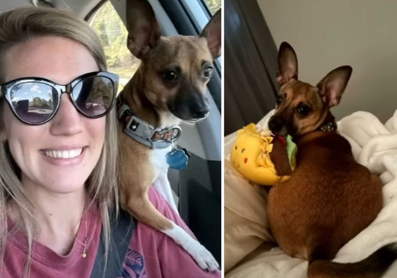 O caso aconteceu no hospital Northside Hospital Gwinnett, localizado na Geórgia, Estados Unidos. Fotos: ABC News