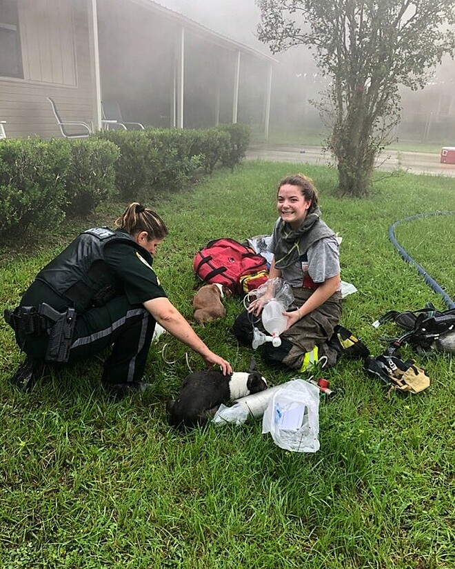 A dona da casa não estava na hora do incêndio - Foto: Facebook / Columbia County Fire Rescue