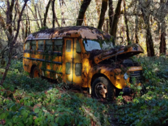 O ônibus estava abandonado na mata há mais de duas décadas. Foto: Collect/PA Real Life