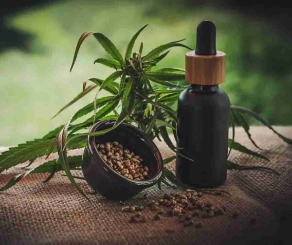O salvo-conduto permite que ela importe até 20 sementes de cannabis por ano - Foto: Pixabay