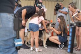 A felicidade da famlia. Coisa linda! Foto: The Dodo