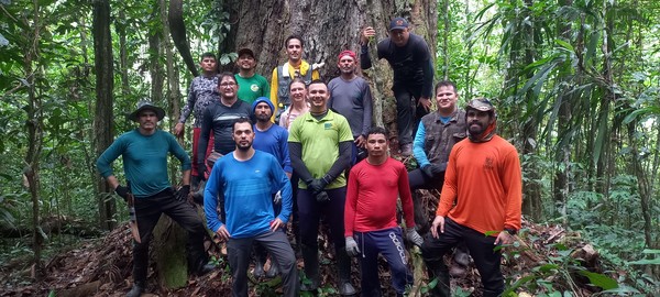 Equipe formada por pesquisadores e pessoas da comunidade local, conhecedores da floresta — Foto: Projeto Árvores Gigantes da Amazônia/ Divulgação