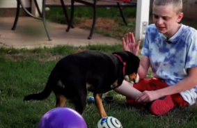 “Acho muito legal ter um cachorro igual a mim. Ela é a minha melhor amiga”, disse Travis. Fotos: Arquivo Pessoal