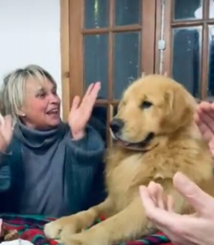 O cãozinho estava bastante empolgado com os Parabéns - Foto: reprodução
