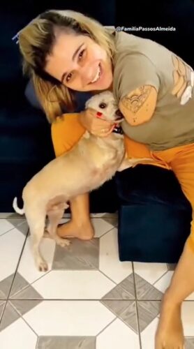 Luanna ficou apaixonada pelo novo filhote - Foto: reprodução Instagram