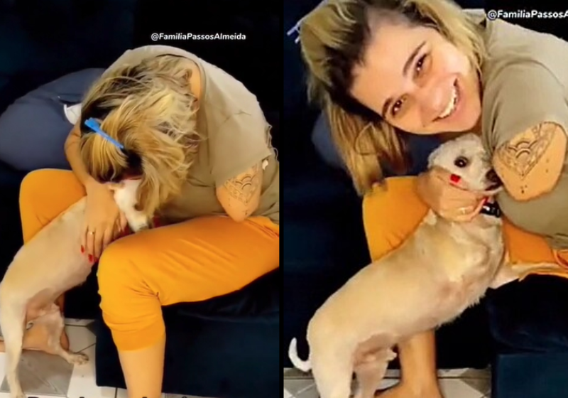 O marido deu um cãozinho especial, que não tem uma pata, para a esposa que não tem um braço e eles viraram melhores amigos na hora - Foto: reprodução Instagram