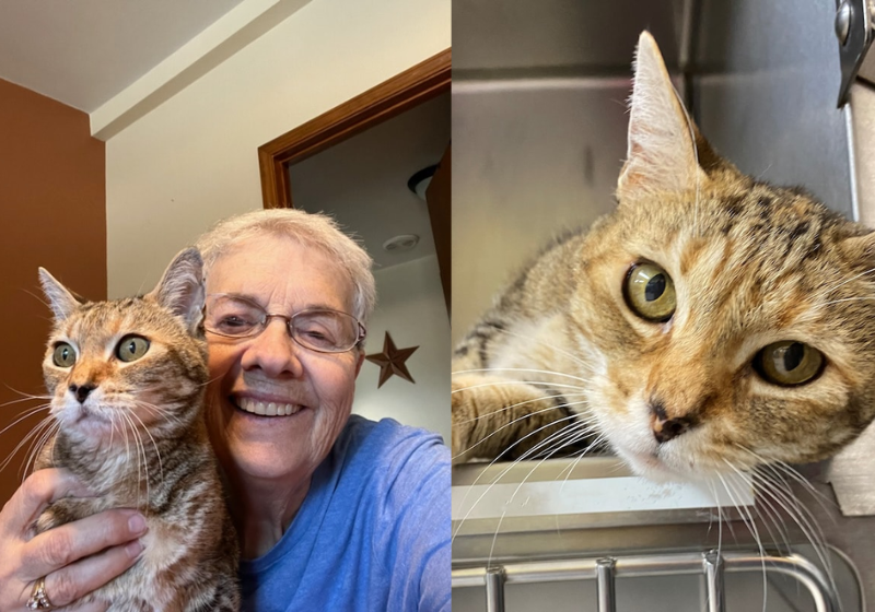 Harriet fugiu de casa há 9 anos e agora foi reencontrada 1.600 quilômetros longe de onde morava - Foto: arquivo pessoal