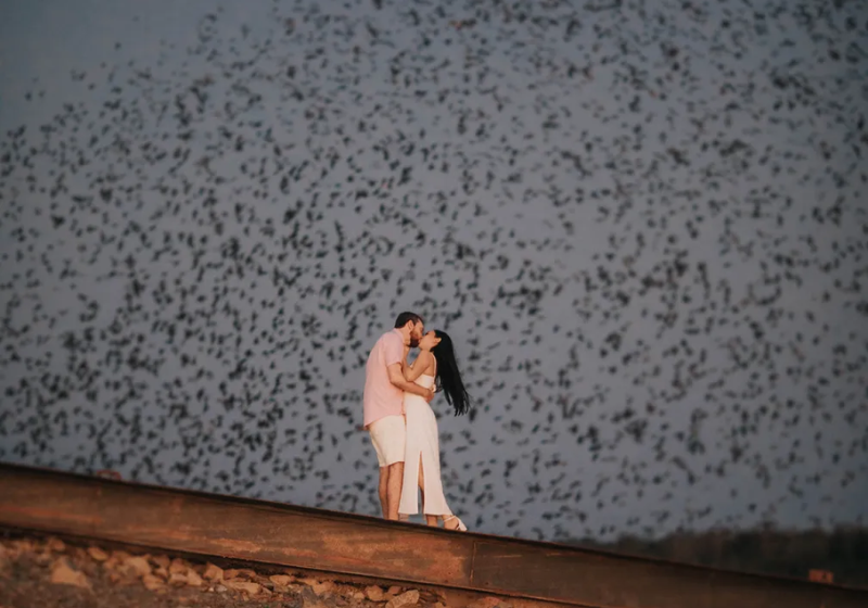 O casal foi surpreendido por uma chuva de andorinhas que invadiu o ensaio de noivado - Foto: Tomaz Ribeiro