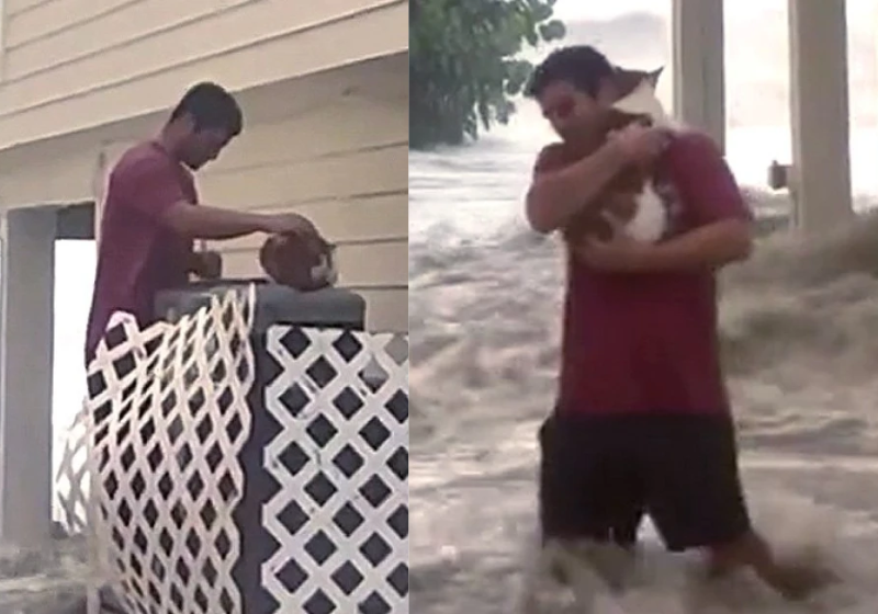 O rapaz enfrentou o furacão para salvar um gatinho preso no ar-condicionado - Foto: reprodução Twitter