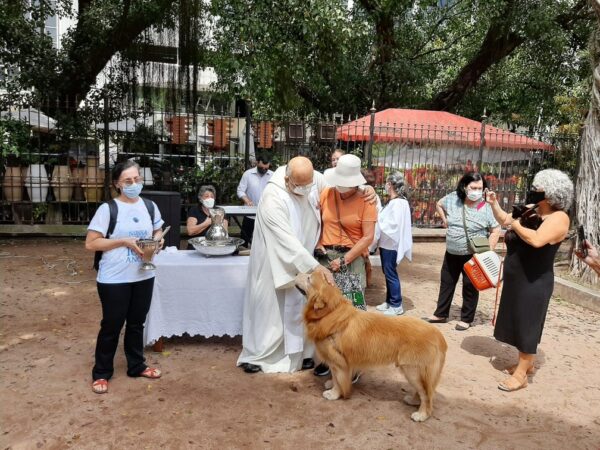 Animais recebem a benção de São Francisco de Assis - Foto: Suelen Bastos 