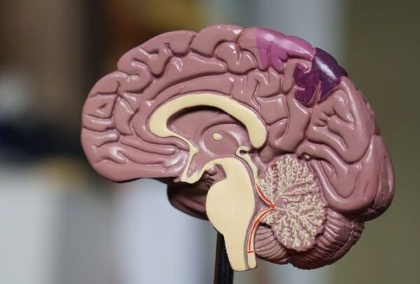 O estudo apontou melhora em todos os pacientes - Foto: Pixabay