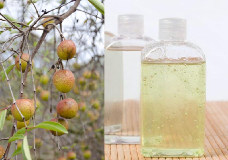 O xampu sustentável é produzido a partir do caule e folhas da mangabeira - Fotos: reprodução