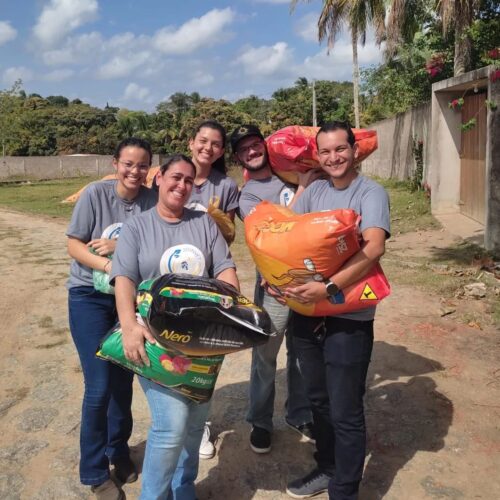 Diversas doações chegam diariamente no abrigo - Foto: reprodução Instagram