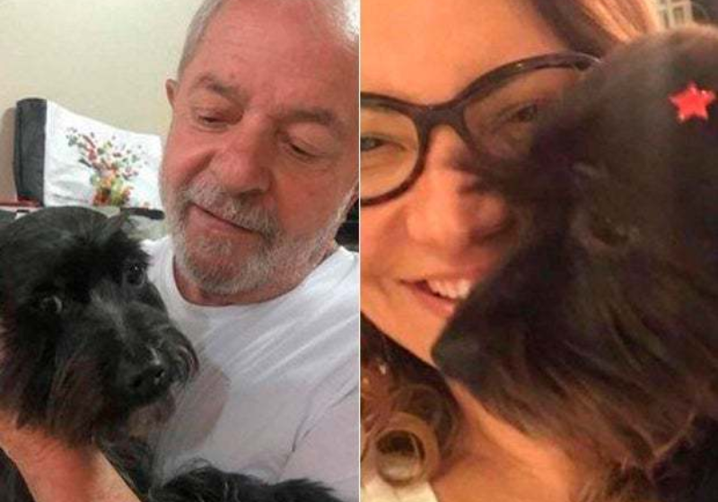 A cachorrinha Resistência, paixão de Lula e Janja, sobe a rampa do Palácio do Planalto - Foto: reprodução