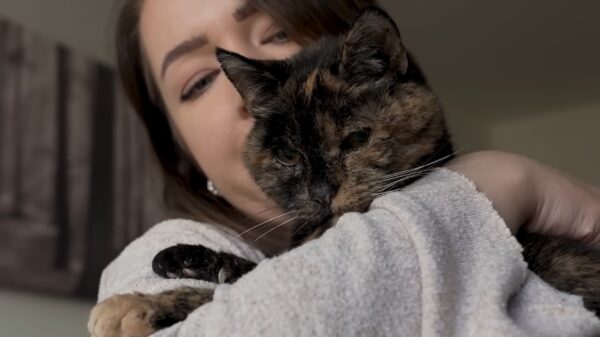 Vicki adotou Flossie após a antiga tutora dela falecer - Foto: arquivo pessoal