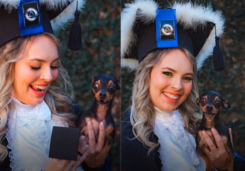 A jovem Laís levou o cãozinho pinscher para tirar as fotos de formatura e a braveza dele está divertindo a web - Foto: Tik Tok @laisdgehrke
