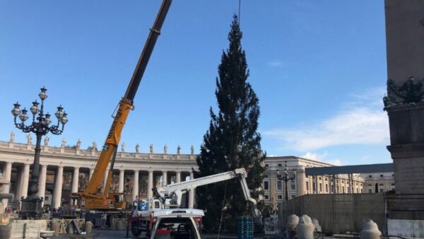 O presépio, a arvore de Natal e a manjedoura foram construído por artistas convidados - Foto: Vatican News