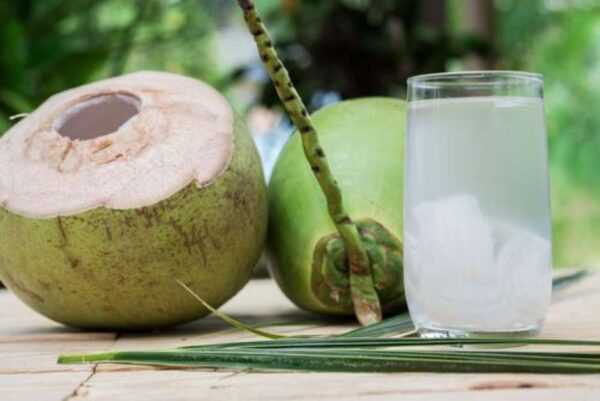 A água de coco é um dos alimentos ideias para curar ressaca - Foto: Pixabay
