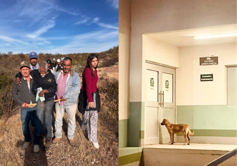 O cão virou herói após se unir aos agentes e encontrar o dono, um idoso que estava desaparecido - Foto: reprodução Twitter